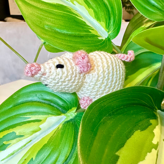 Mouse - Extra Small