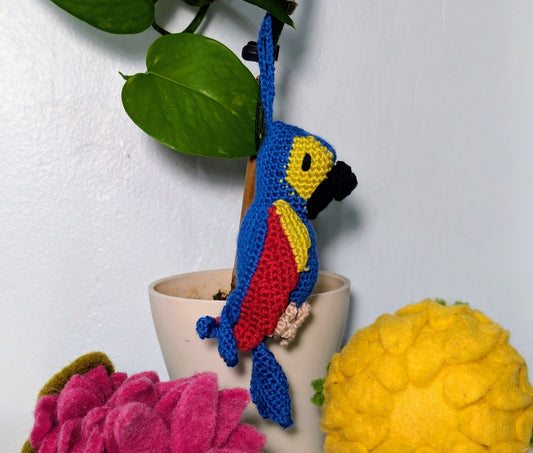Macaw / Parrot