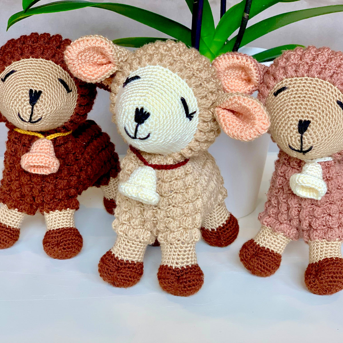 Sheep with Bell