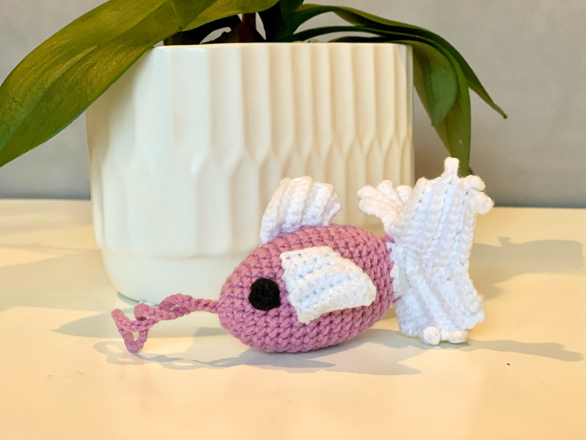 Fish