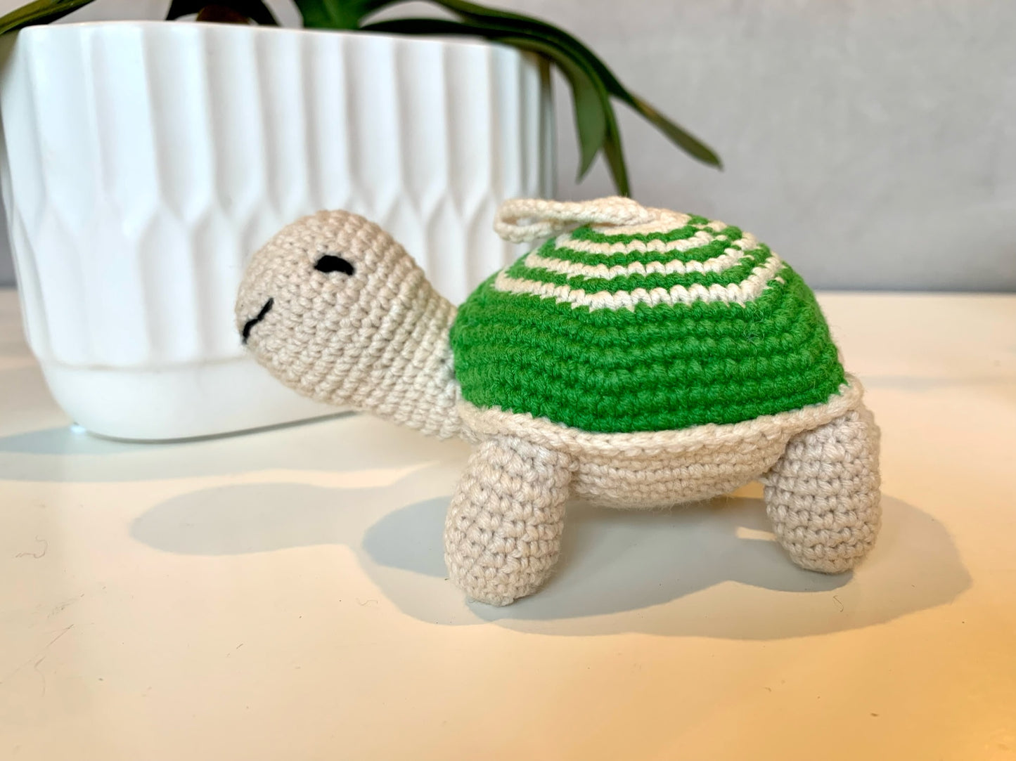 Turtle - Medium