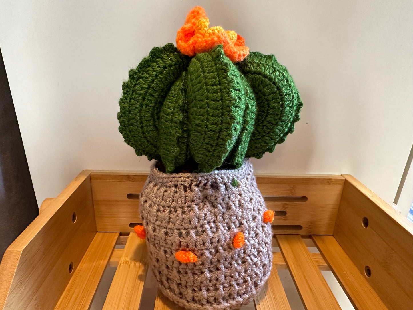 Blooming Crochet Cactus