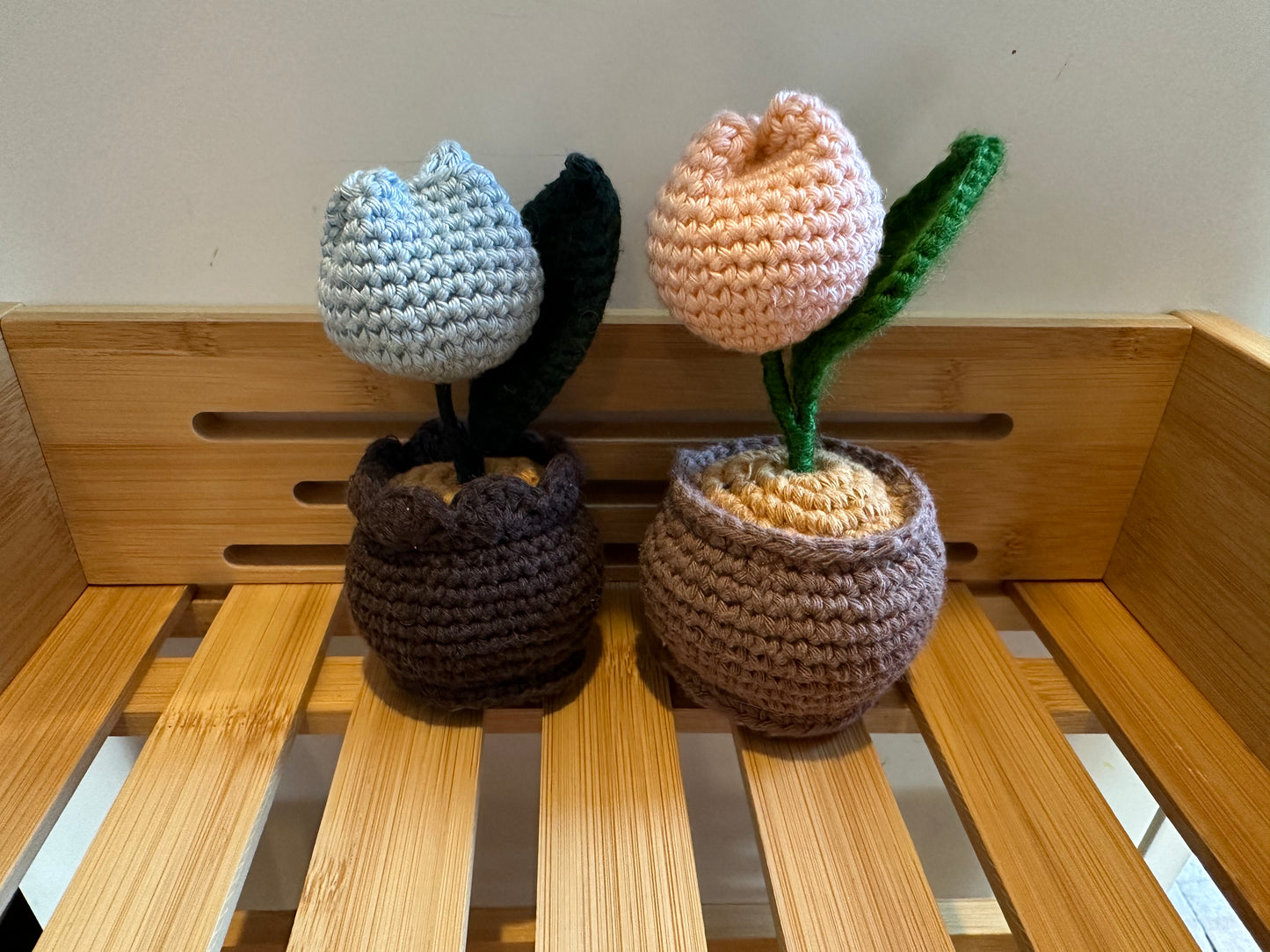 Blooming Pastel Tulips in Pots