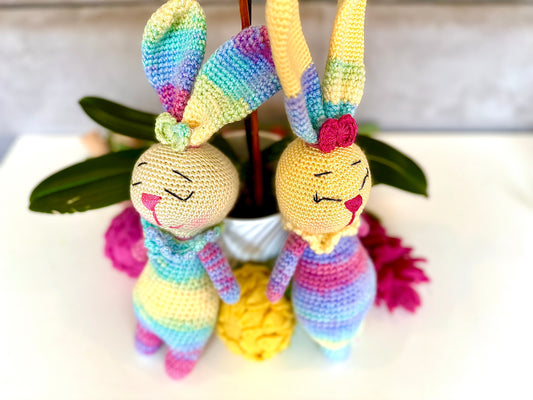 Rainbow Bunny Duo