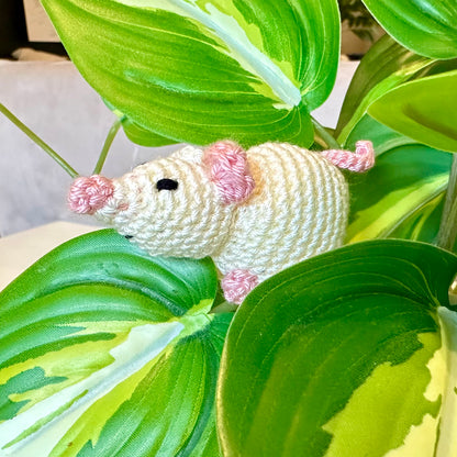 Mouse - Extra Small