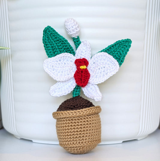 White Orchid Plant Amigurumi - Crochet Floral Décor