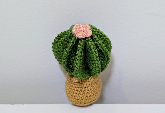 Potted Cactus - Mini