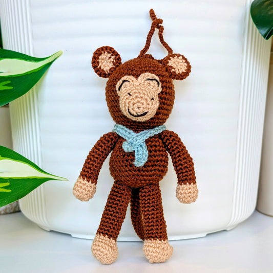 Chimpanzee in a Scarf