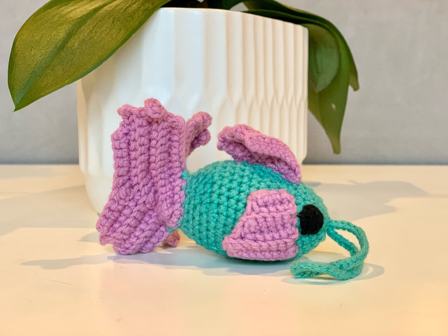 Fish