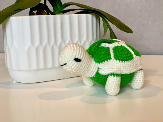 Turtle - Medium