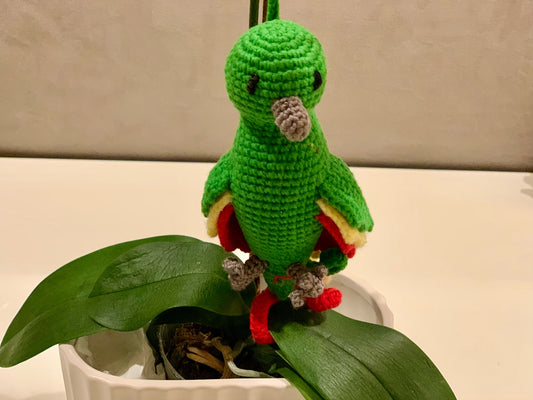 Parrot - Green Variation