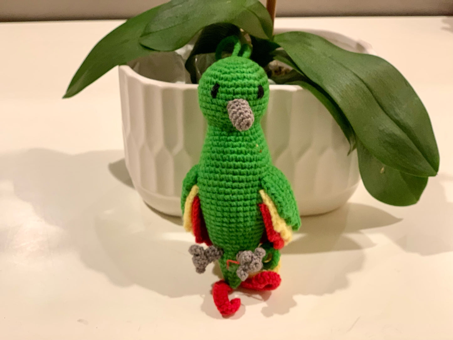 Parrot - Green Variation