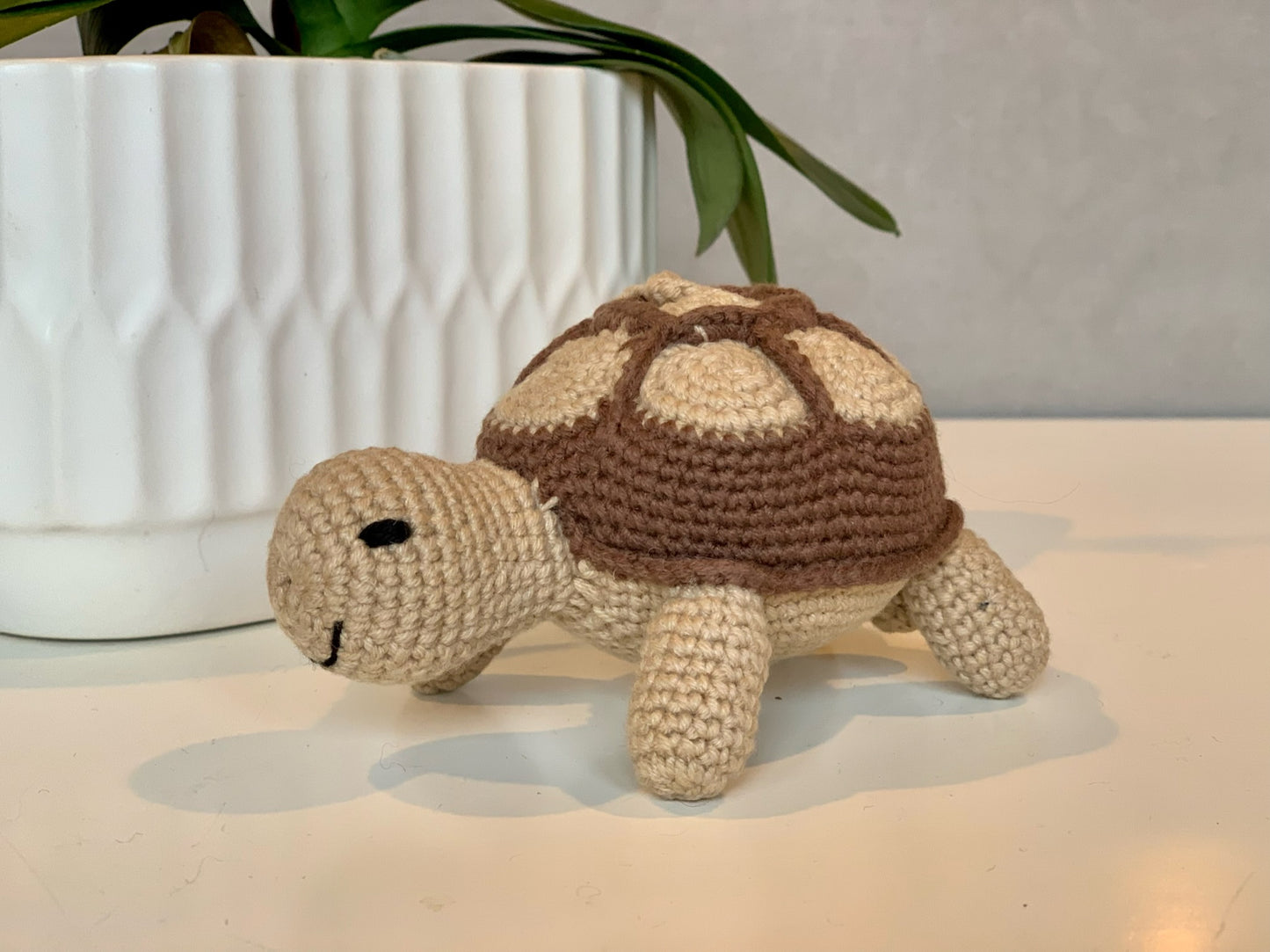 Turtle - Medium