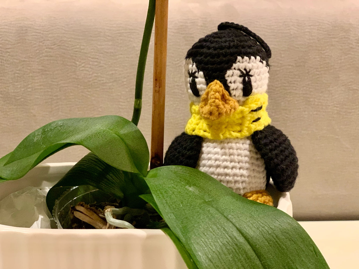 Penguin