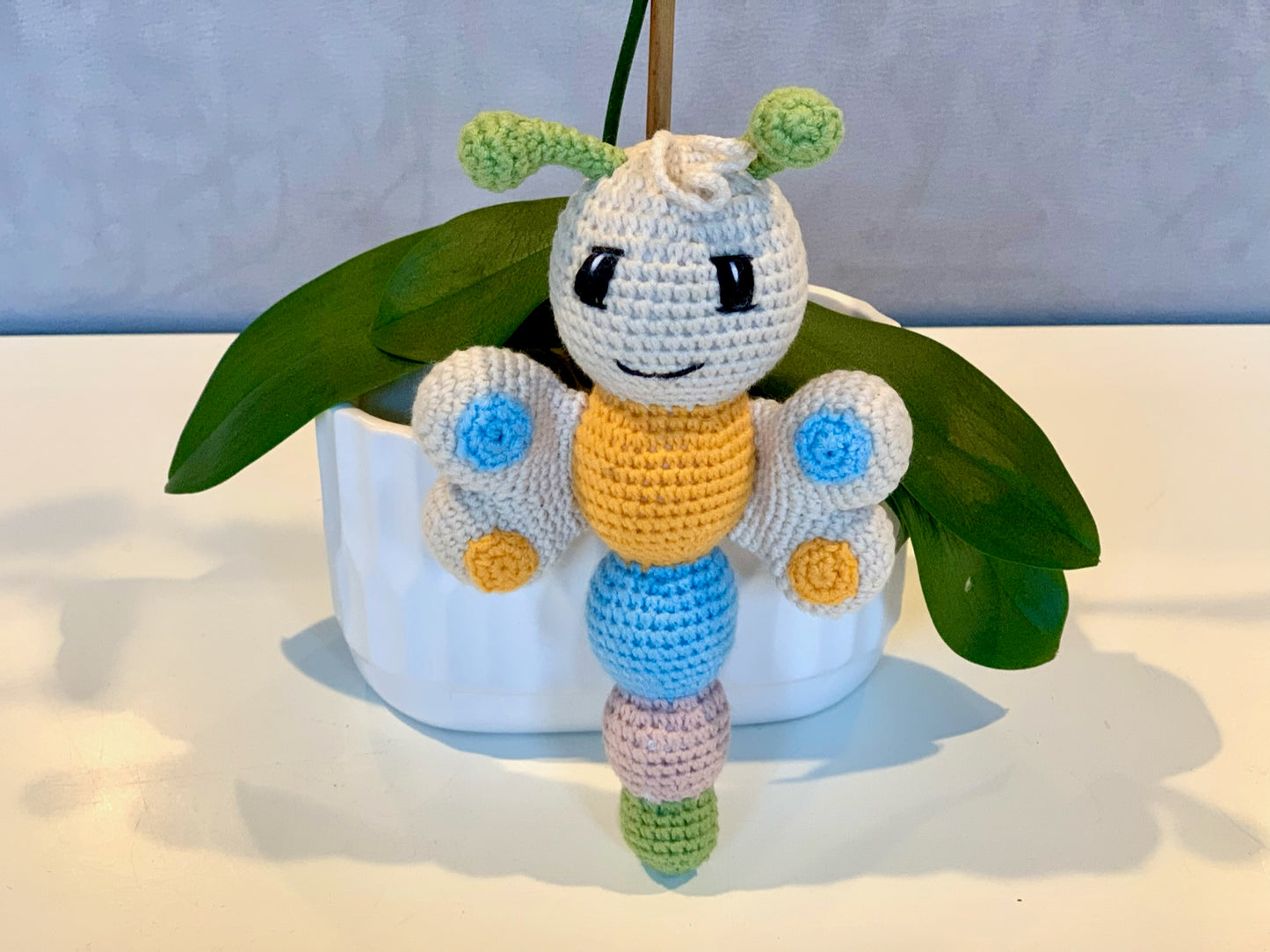 Butterfly - Medium