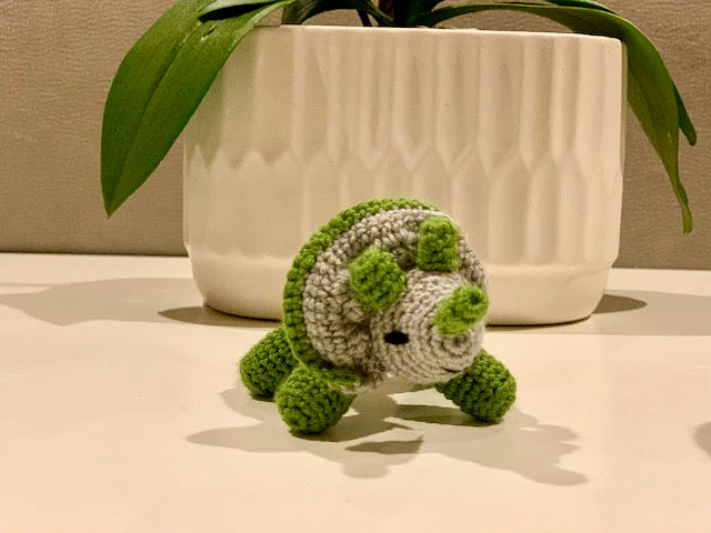 Dinosaur